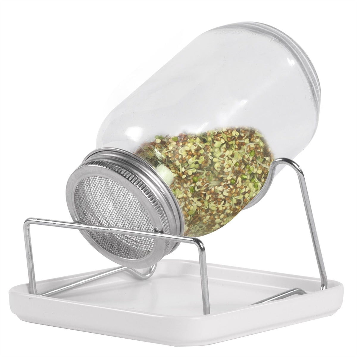 Maison & White Seed Sprouting Jar Kit Set of 2 | Glass Mason Jars Mesh Lids Ceramic Bases Steel Stands | Grow Broccoli Alfalfa Beans Microgreens | Dishwasher Safe | Food-Grade | 2-Year Warranty