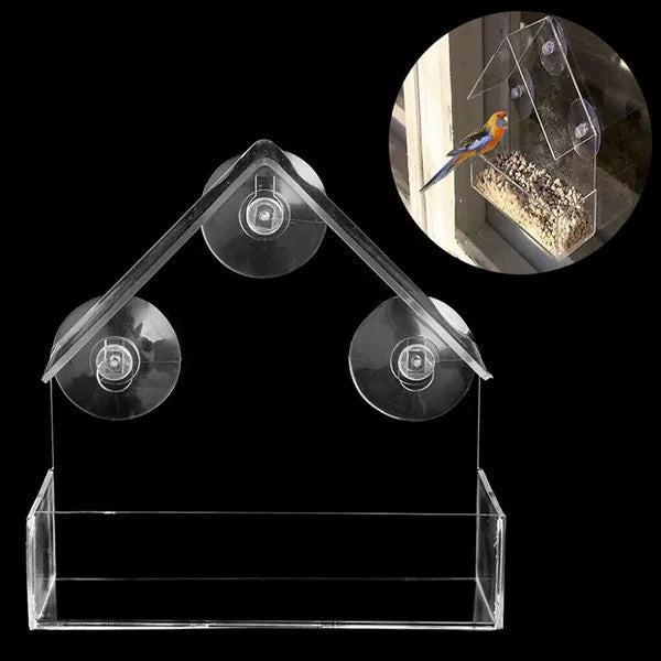 Window Viewing Wild Bird Feeder Feeding Station Stop Suction Cup Hanging Acrylic Perspex Clear