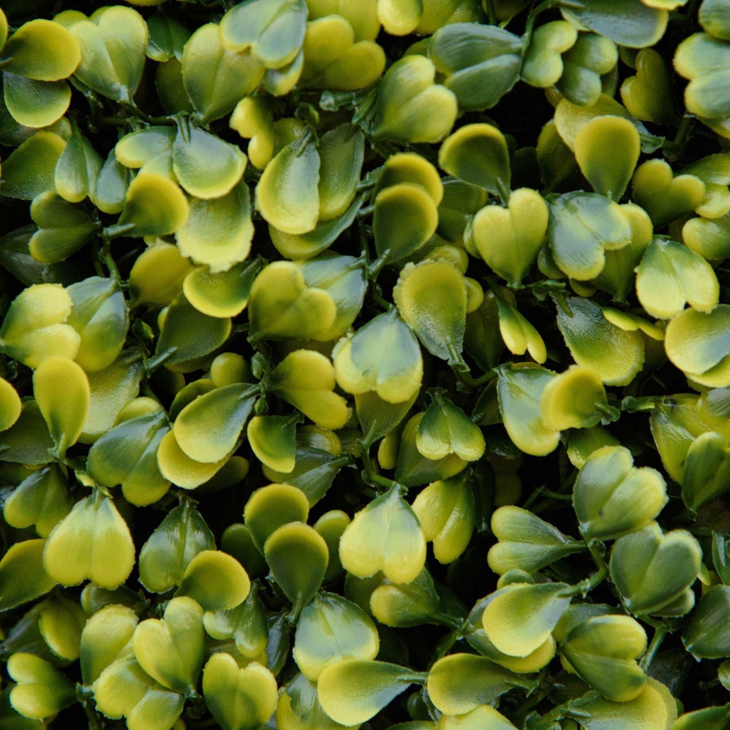 12 Pieces Artificial Wood Paneling for Walls 20" x 20" Grass Privacy Fence Screen Faux Hedge Greenery Backdrop Encrypted Milan Grass