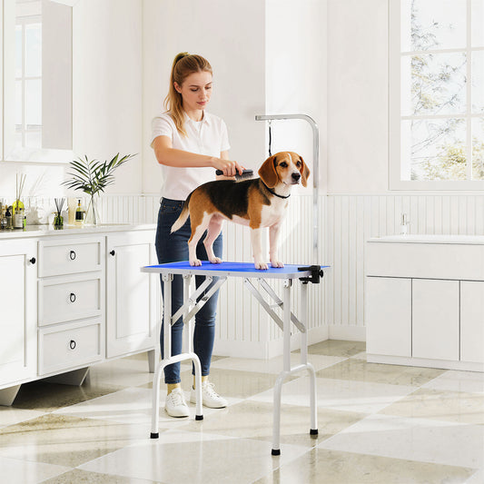 Foldable Dog Grooming Table | Non-Slip Rubber Top | Adjustable Arm 20-60cm | 20kg | Blue