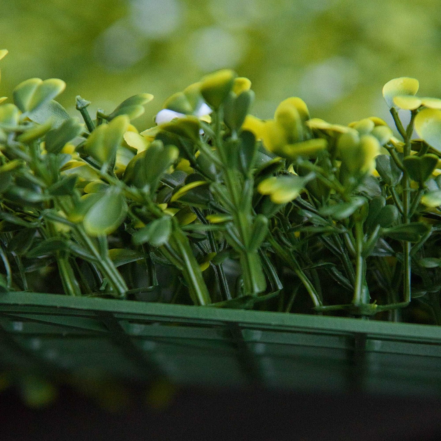 12 Pieces Artificial Boxwood Wall Panels 50cm x 50cm Grass Privacy Fence Screen Faux Hedge Greenery Backdrop Encrypted Milan Grass