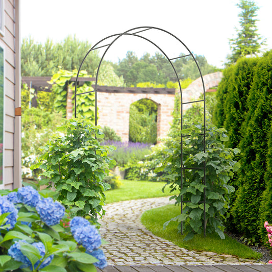 Outdoor Garden Arch, Metal Garden Arbor for Climbing Plants, Roses, Vines, Wedding Arch for Outdoor, Black