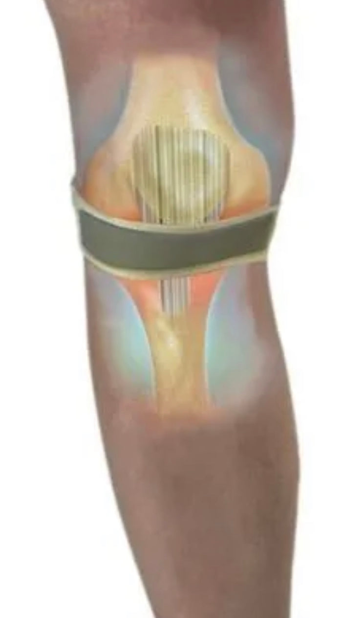 Good Ideas Magnetic Power Knee Strap Support Belt Brace Buy 2 - 2nd Half Price