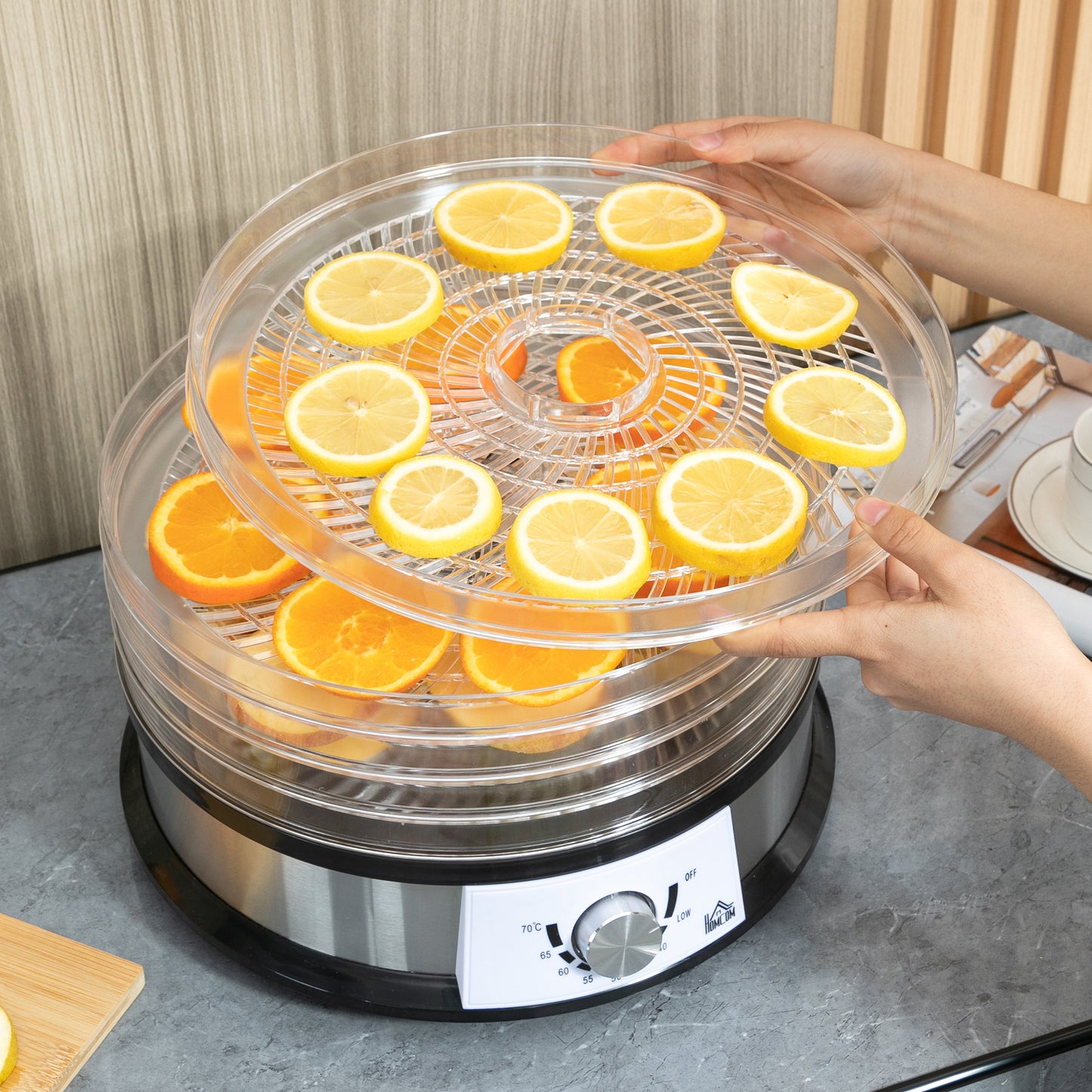 HOMCOM 5 Tier Food Dehydrator, 250W Stainless Steel Food Dryer Machine with Adjustable Temperature for Drying Fruit, Meat, Vegetable, Silver