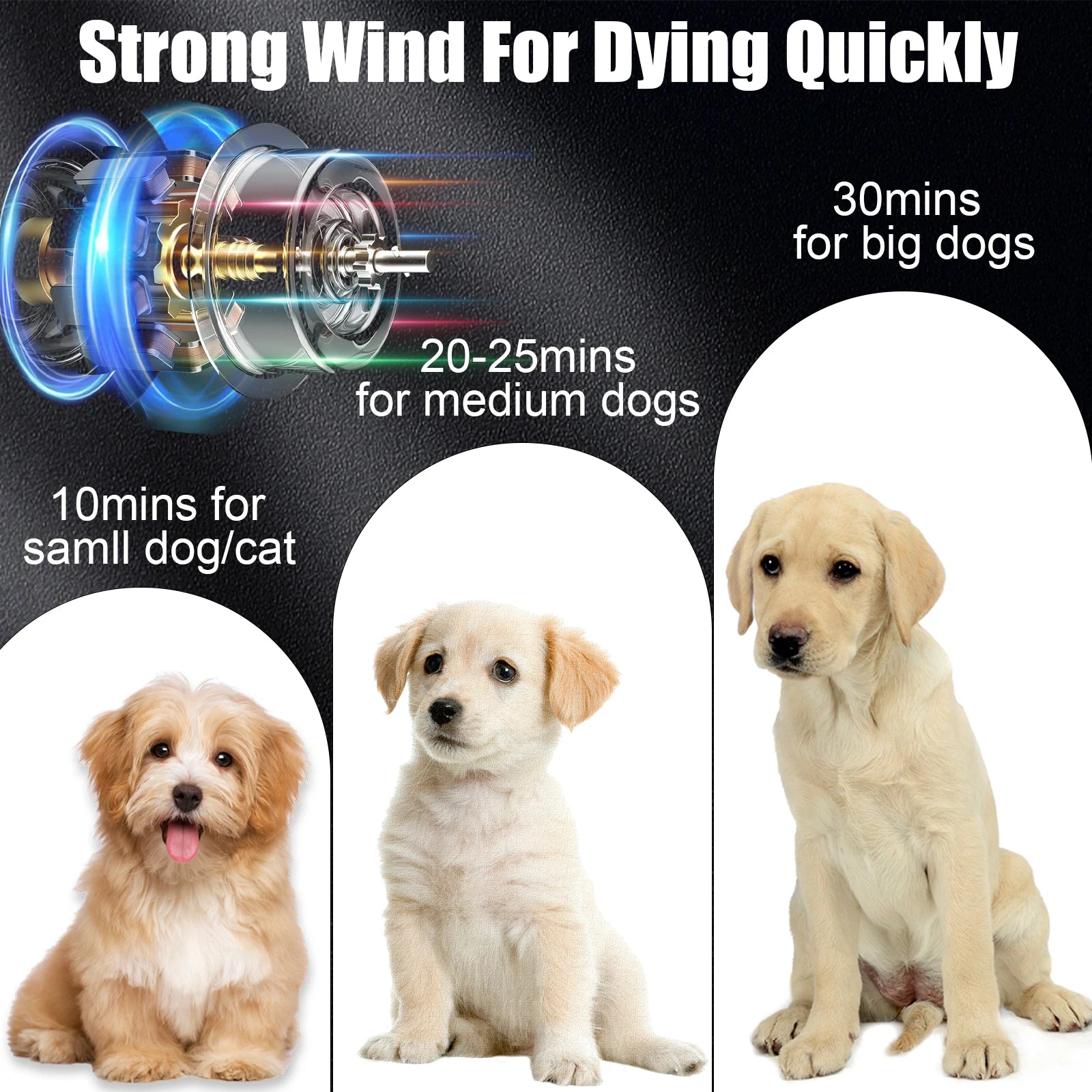 Pet Dog Cat Grooming Hairdryer Professional 2800W Variable Speed Powerful Efficient Hair Fur Blower Dryer With 3 Nozzles