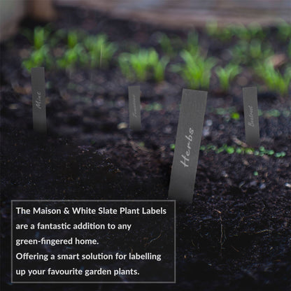 Maison & White Natural Slate Garden Plant Markers | Set of 20 with 2 Chalkstone Pens | 20cm Herb & Vegetable Labels