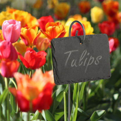 Maison & White Hanging Slate Plant Labels | Set of 10 | 10 × 7cm Garden Signs | 40cm Stainless Steel Hooks & Chalk Included