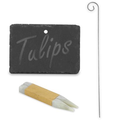 Maison & White Hanging Slate Plant Labels | Set of 10 | 10 × 7cm Garden Signs | 40cm Stainless Steel Hooks & Chalk Included