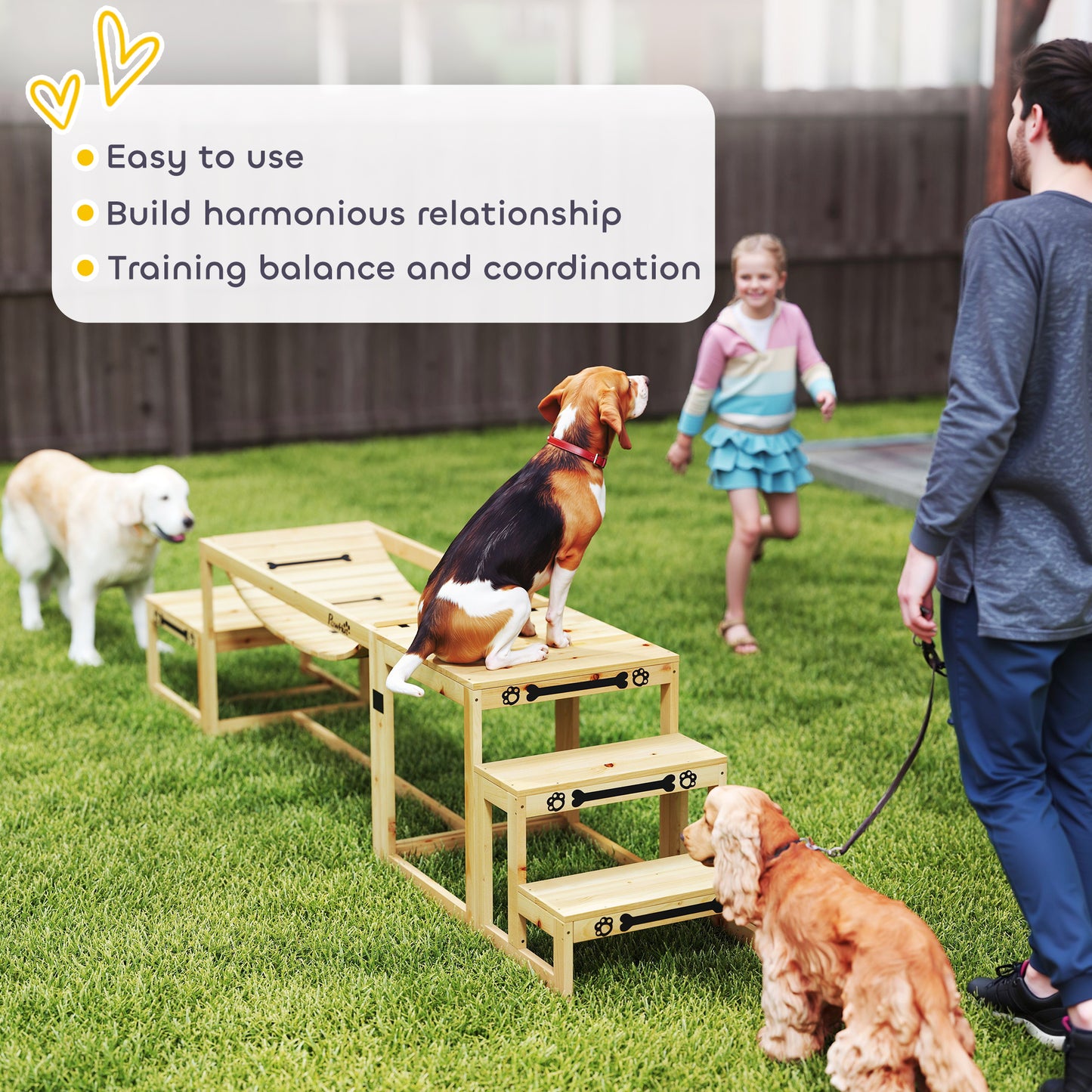 3-Piece Dog Agility Training Set | Flexible Bridge | Pause Platform | Pet Stairs | Solid Fir Wood | 50kg Per Piece | Suits Dogs Up to 40kg | Natural Wood Finish