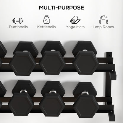 SPORTNOW Wall-Mounted Dumbbell Rack, 2-Tier Weight Stand, Space-Saving and Multi-Functional Steel organiser for Home Gym, Black