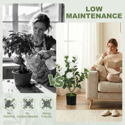 Artificial Camellia Flower Plant | 65cm | 116 PEVA Leaves | Silk Blossoms | Shapeable | Moss Effect Cement Pot | No Maintenance | White