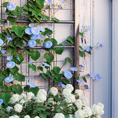 Raised Bed for Garden with Trellis, Galvanised Planter Box with Diamond Pattern, Drainage Holes for Vegetables, Herbs and Flowers, 90 x 40 x 120 cm, Black