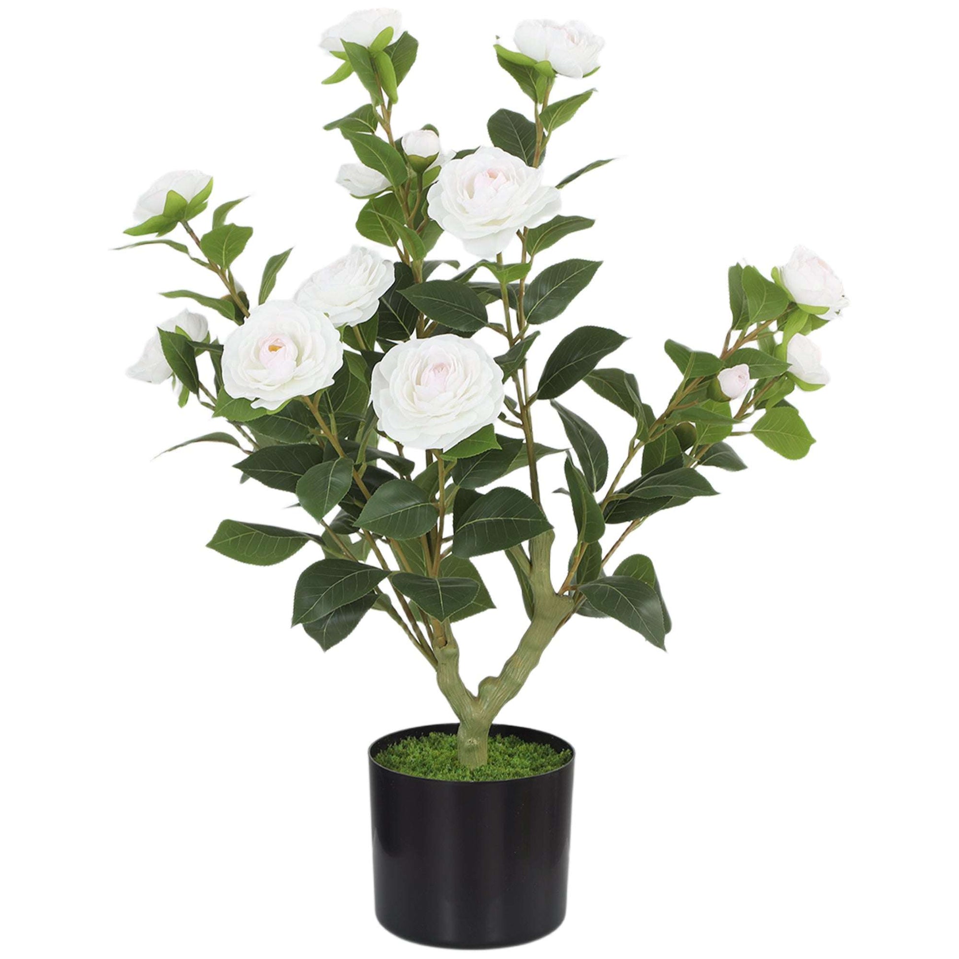 Artificial Camellia Flower Plant | 65cm | 116 PEVA Leaves | Silk Blossoms | Shapeable | Moss Effect Cement Pot | No Maintenance | White