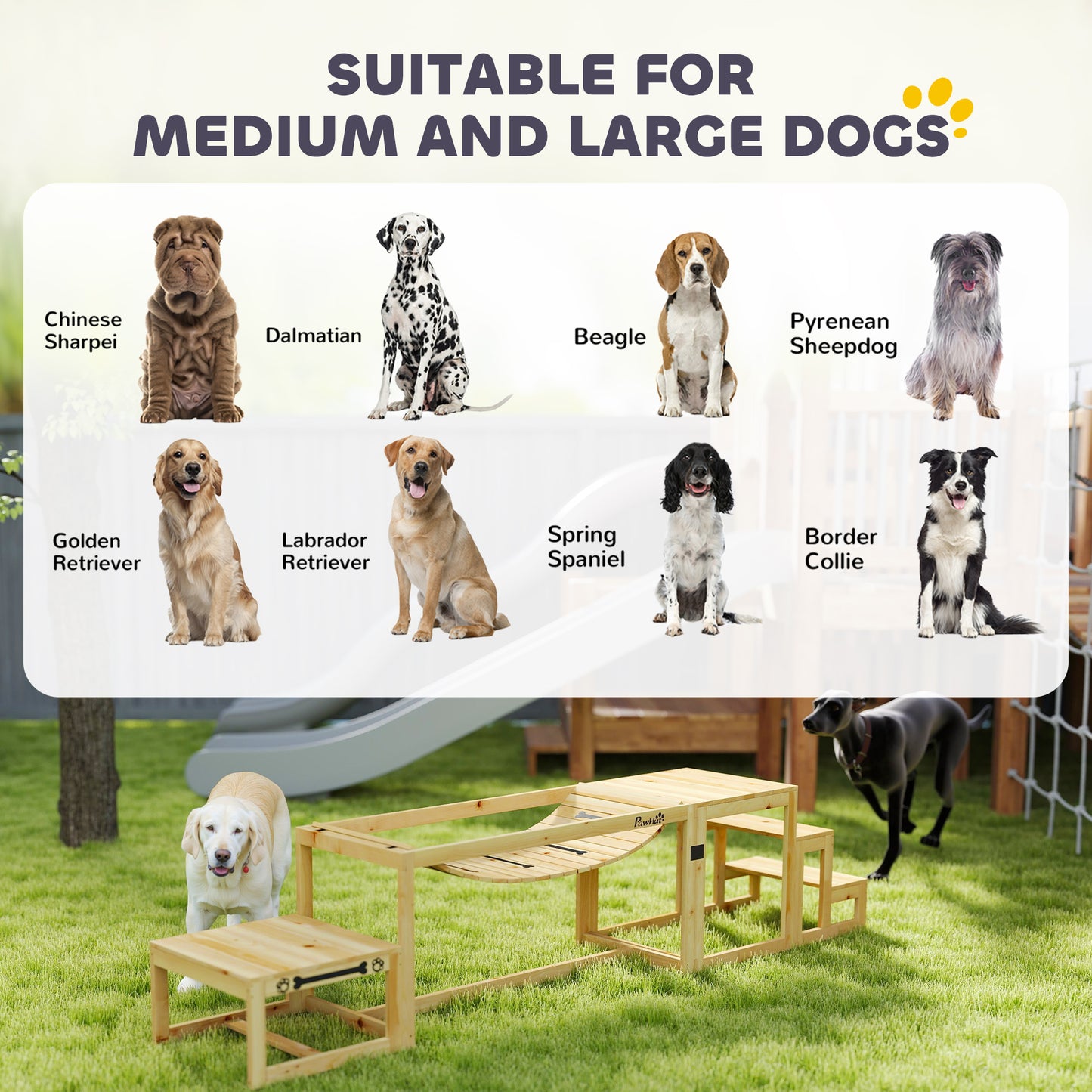 3-Piece Dog Agility Training Set | Flexible Bridge | Pause Platform | Pet Stairs | Solid Fir Wood | 50kg Per Piece | Suits Dogs Up to 40kg | Natural Wood Finish