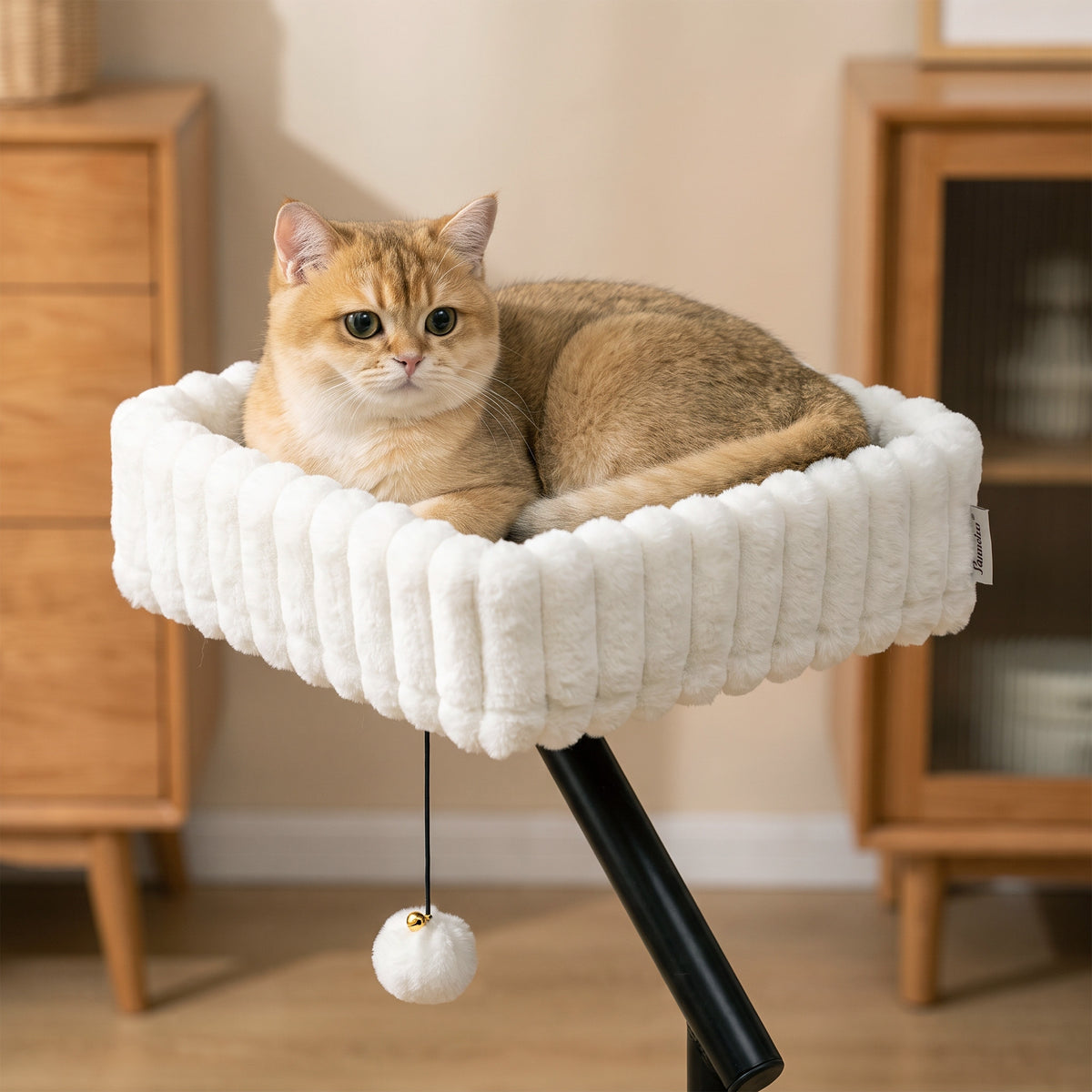 Raised Cat Window Bed | 360° Rotating Clamp-On Cat Hammock | White & Black | For Cats Under 6kg