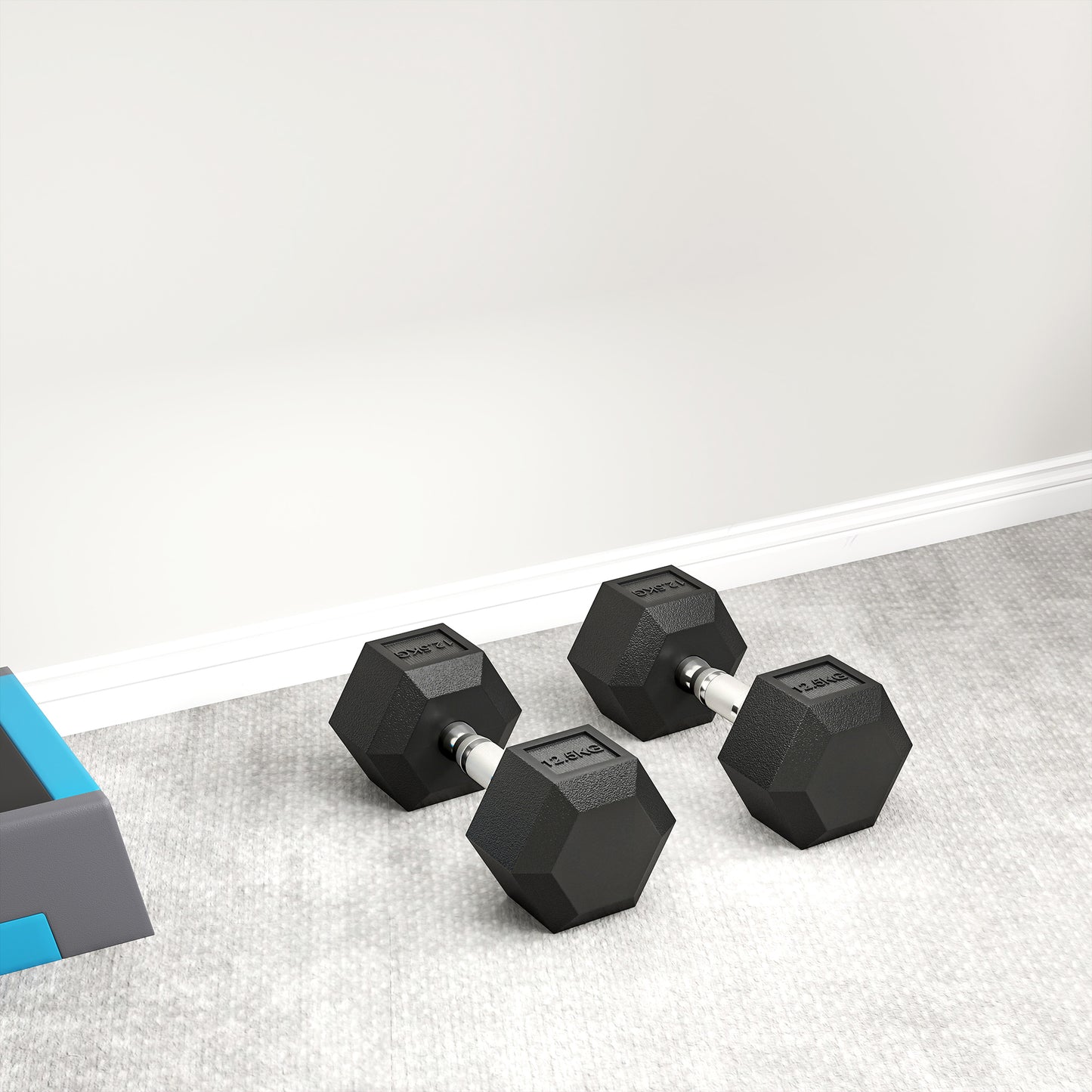 25KG Rubber Hex Dumbbell Portable Hand Weights Dumbbell Home Gym