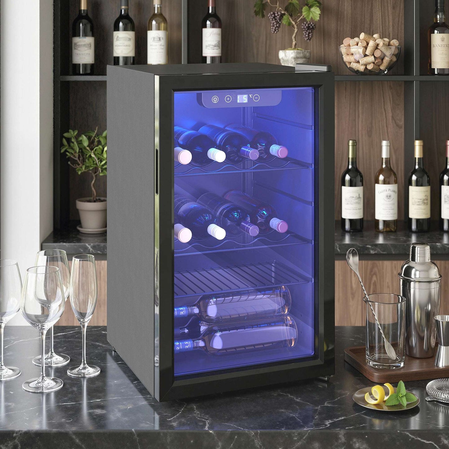 24 Bottle Wine Cooler, 68 Litre Capacity, 4-16°C Freestanding Drinks Beer Wine Fridge with Glass Door, Black