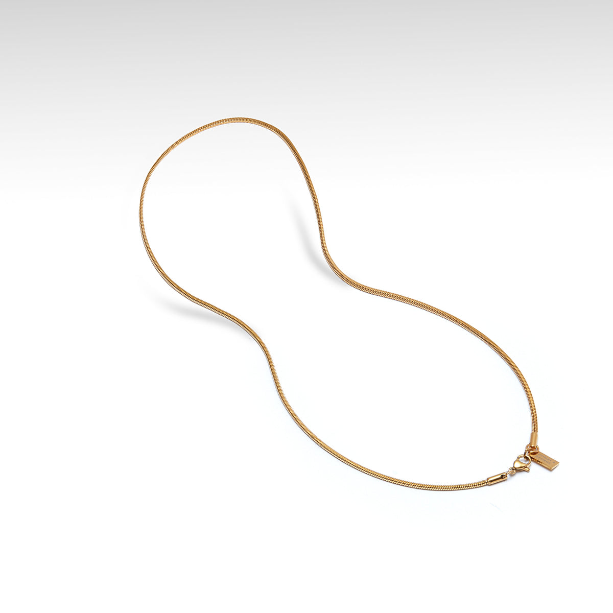 Thomas & George Gold-Tone Snake Chain Necklace | 55cm Stainless Steel Chain | Slim 2mm Width & Minimalist Style
