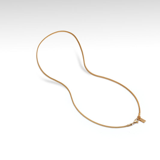 Thomas & George Gold-Tone Snake Chain Necklace | 55cm Stainless Steel Chain | Slim 2mm Width & Minimalist Style