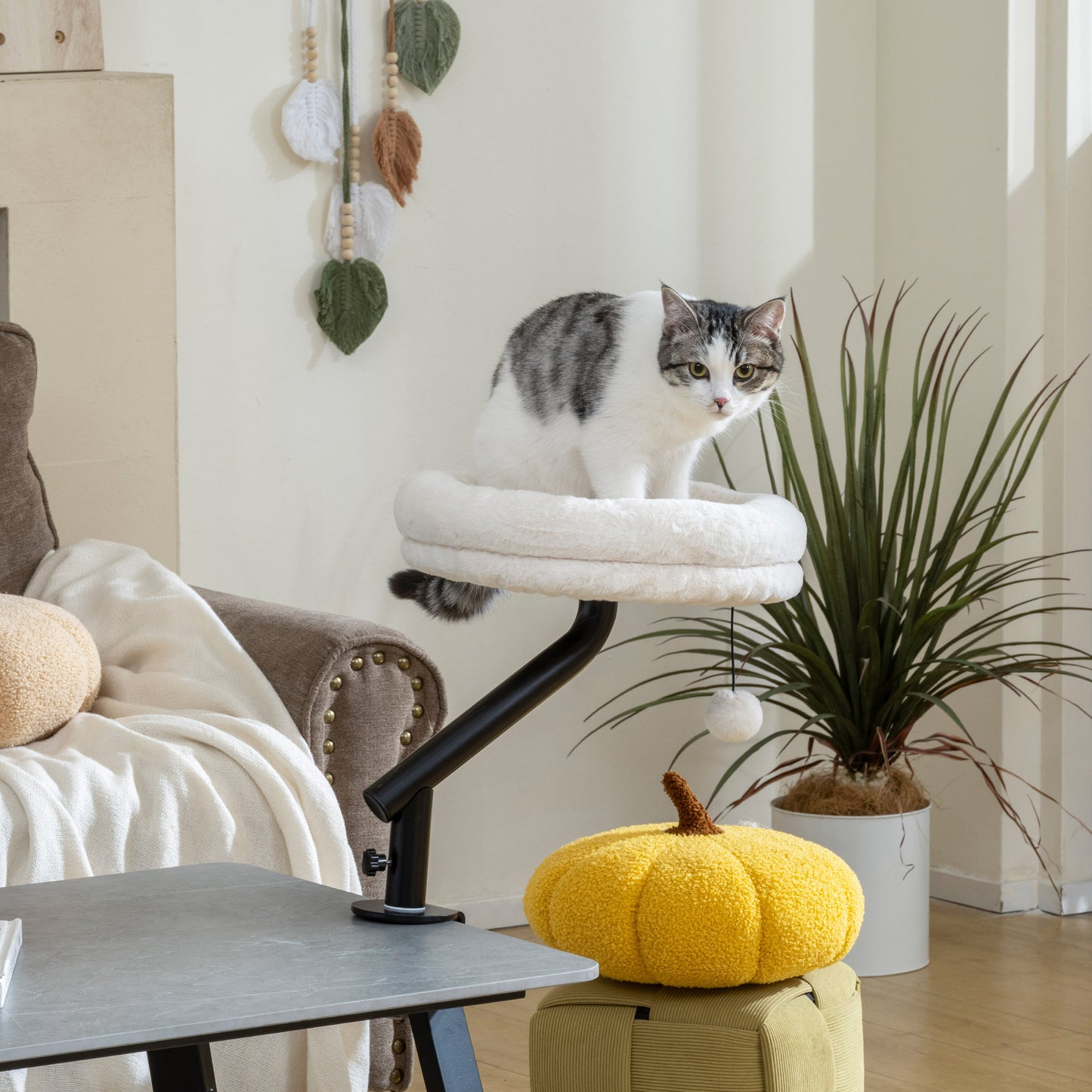 Cat Desk Bed | 360° Rotatable | Desk & Window Clamp | All-Season Plush | Up to 6kg | Cream White