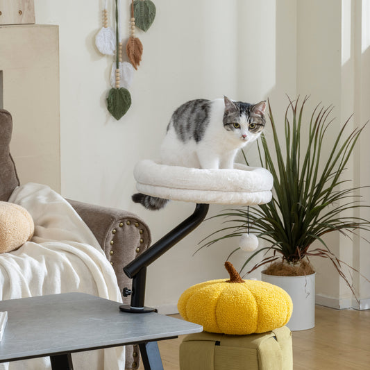 Cat Desk Bed | 360° Rotatable | Desk & Window Clamp | All-Season Plush | Up to 6kg | Cream White