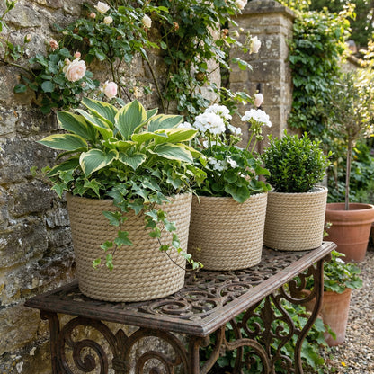 Set of 3 Handwoven Seagrass Plant Pots | Plastic Inner Liner | Lightweight | Bohemian Style | S M L Sizes | Indoor & Outdoor | Patio Balcony & Living Areas | Natural