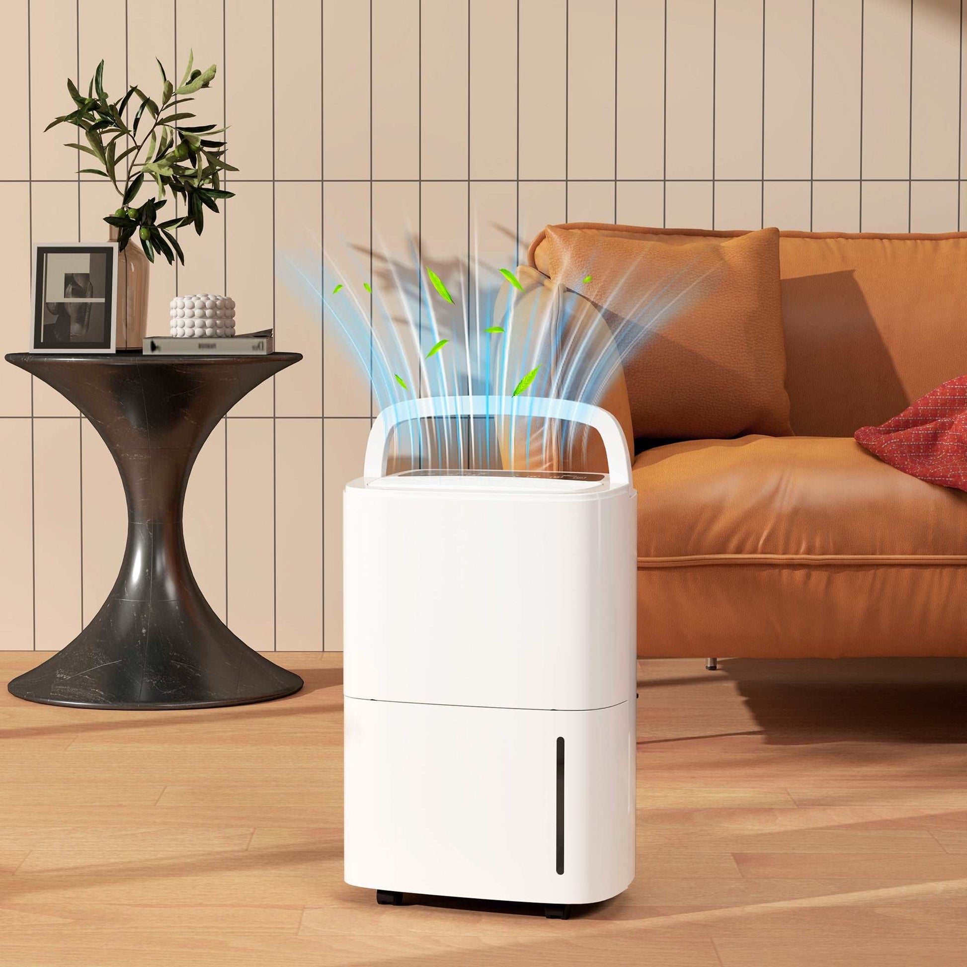 20L/Day Dehumidifier W/ Continuous Drainage, 5L Water Tank, 24H Timer for Home Damp, Bedroom, Condensation, Mould, Laundry Drying