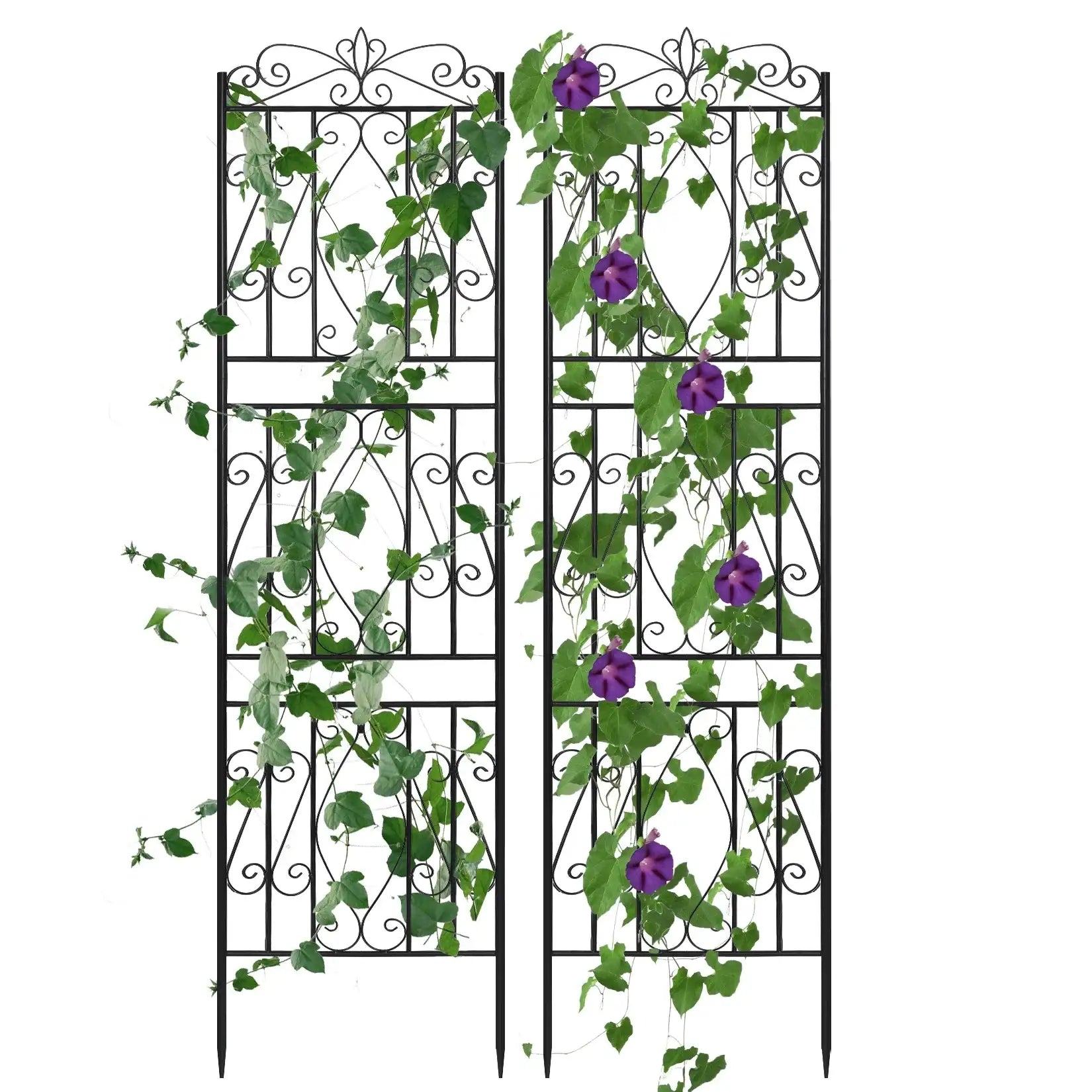 Pack Of 2 Tall Garden Trellis for Climbing Plants Metal Plant Support Fence Rustproof 