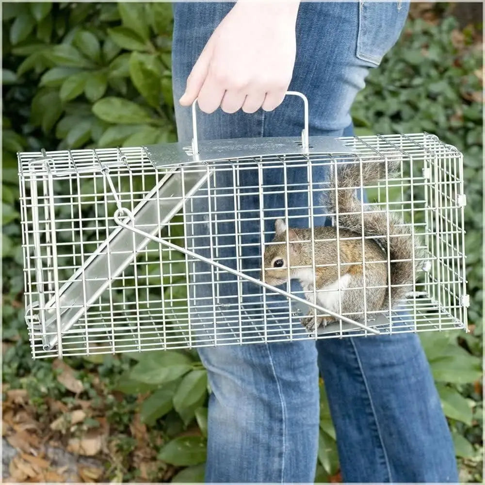 One-Door Live Humane Animal Traps Cage Catcher Rat Trap For Mouse Squirrel Rabbit Trap, Catch and Release