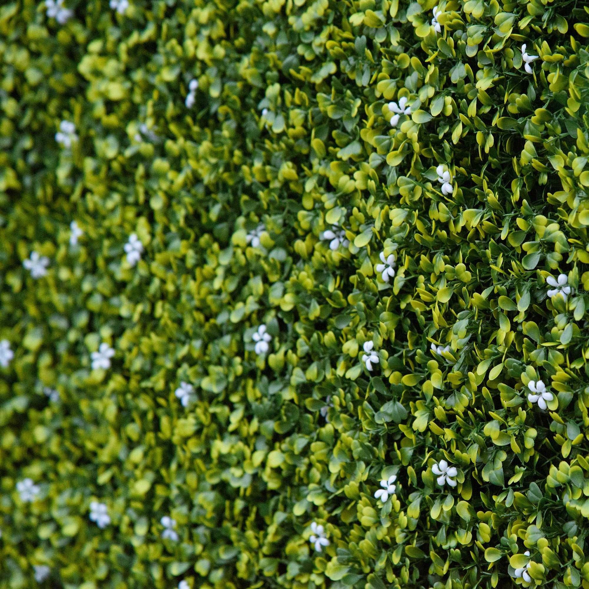 12 Pieces Artificial Boxwood Wall Panels 50cm x 50cm Grass Privacy Fence Screen Faux Hedge Greenery Backdrop Encrypted Milan Grass