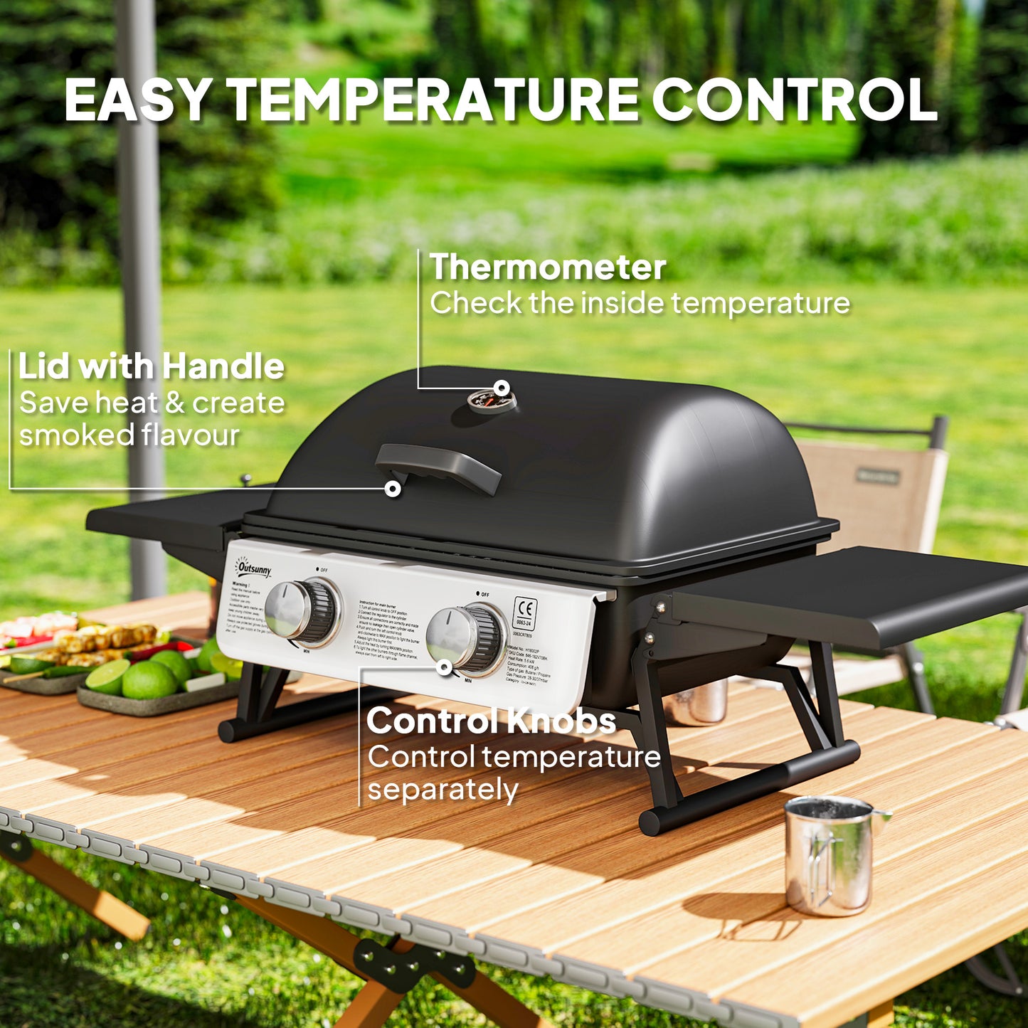 2 Burner Gas BBQ Grill with Foldable Side Tables, Portable Tabletop Gas Barbecue with Built-in Thermometer, Lid, Grease Tray, Outdoor Cooking 5.6KW, Black
