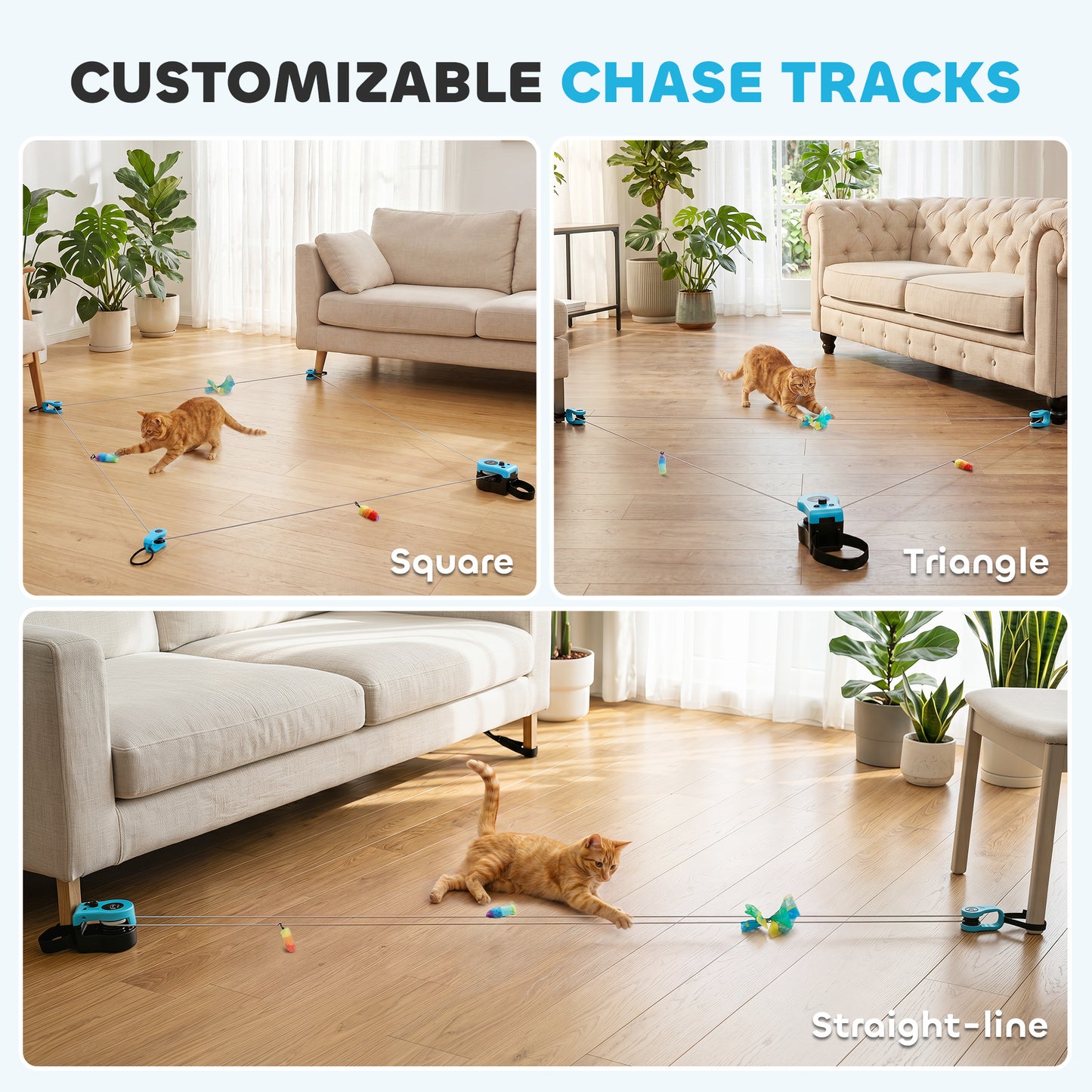 Remote Control Interactive Cat Toy | DIY Track | Adjustable Speed | Mouse Sound | USB-C | Black