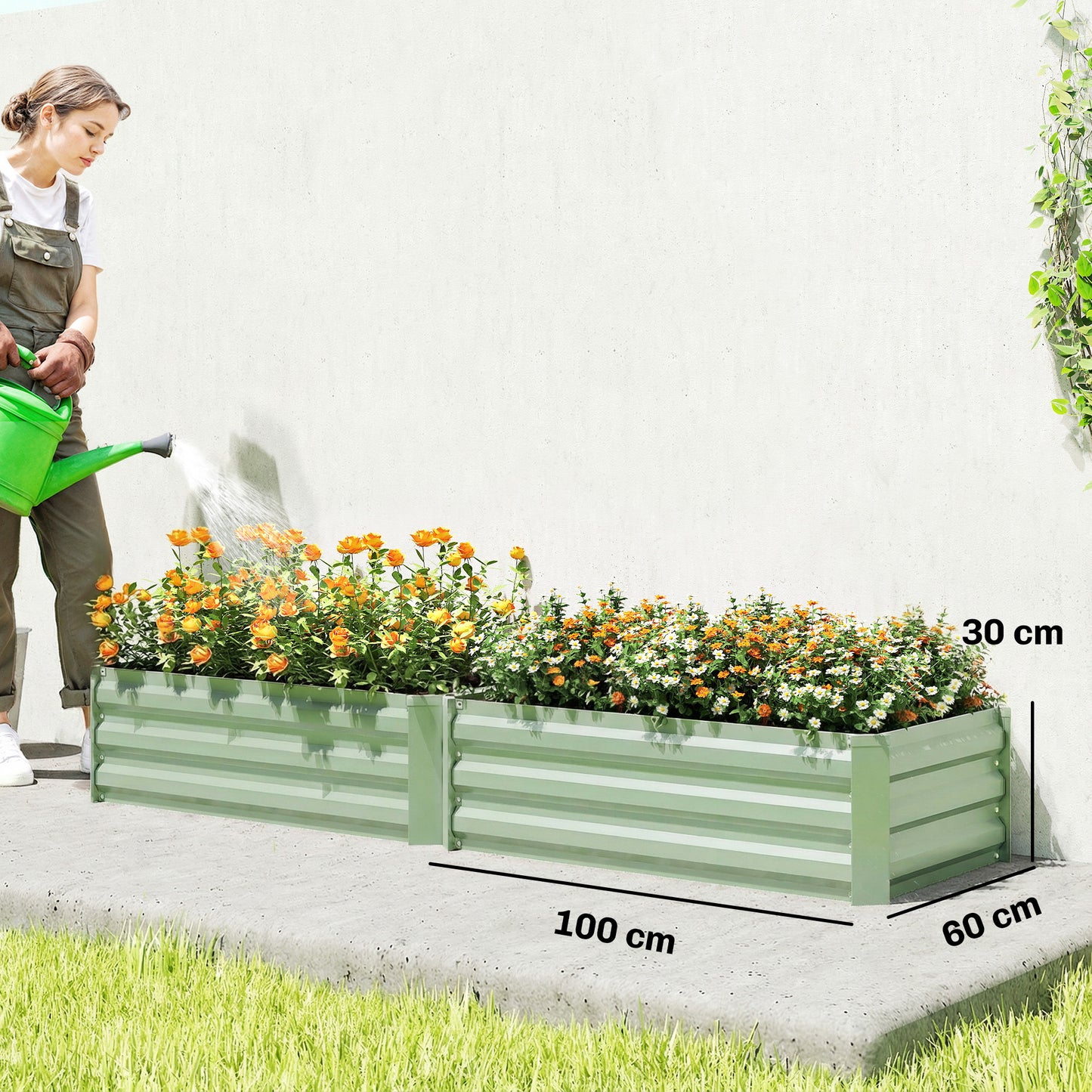 Set of 2 Galvanised Steel Raised Garden Beds | Open Bottom | Direct Soil Contact | No Waterlogging | Easy Assembly | Use Together or Alone | 100x60x30cm | Light Green