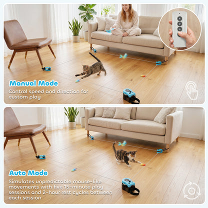 Remote Control Interactive Cat Toy | DIY Track | Adjustable Speed | Mouse Sound | USB-C | Black