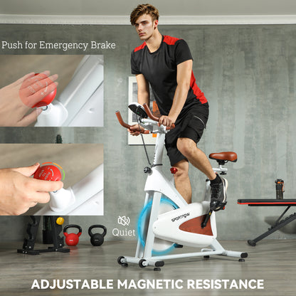 Indoor Exercise Bike, Quiet Stationary Bike, Stylish Cycling Machine with Adjustable Seat and Resistance, for Home Gym Cardio Workout