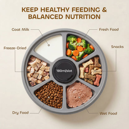 Automatic Cat Feeder | 6-Meal Programmable Timer | Ice Pack | Wet & Dry Food | LED Screen | Grey
