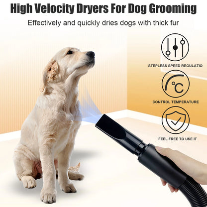 Pet Dog Cat Grooming Hairdryer Professional 2800W Variable Speed Powerful Efficient Hair Fur Blower Dryer With 3 Nozzles