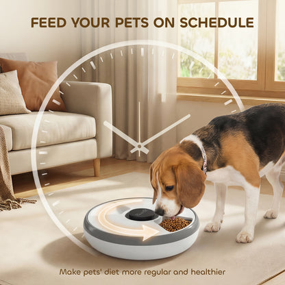 Automatic Cat Feeder | 6-Meal Programmable Timer | Ice Pack | Wet & Dry Food | LED Screen | Grey