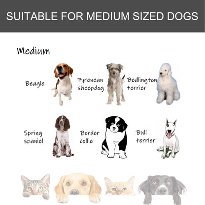 Dog Cage on Locking Wheels | Double-Latch Door | Openable Top | Removable Tray | Foldable | Medium Dogs up to 20kg | 94 x 58 x 76.5cm | Dark Grey