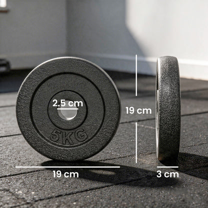 Metal Weight Plates Set | 4 x 5 kg or 4 x 2.5 kg Options | 1 Inch Standard Fit | Rust-Resistant Finish | Dumbbell & Barbell Compatible | Grey