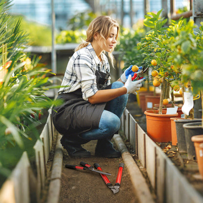 3 Piece Garden Shears Set with Hedge Shears, Lopper, Garden Secateurs, Lightweight and Compact, Tree Shrub Care Kit for Pruning with Soft Grip Handle