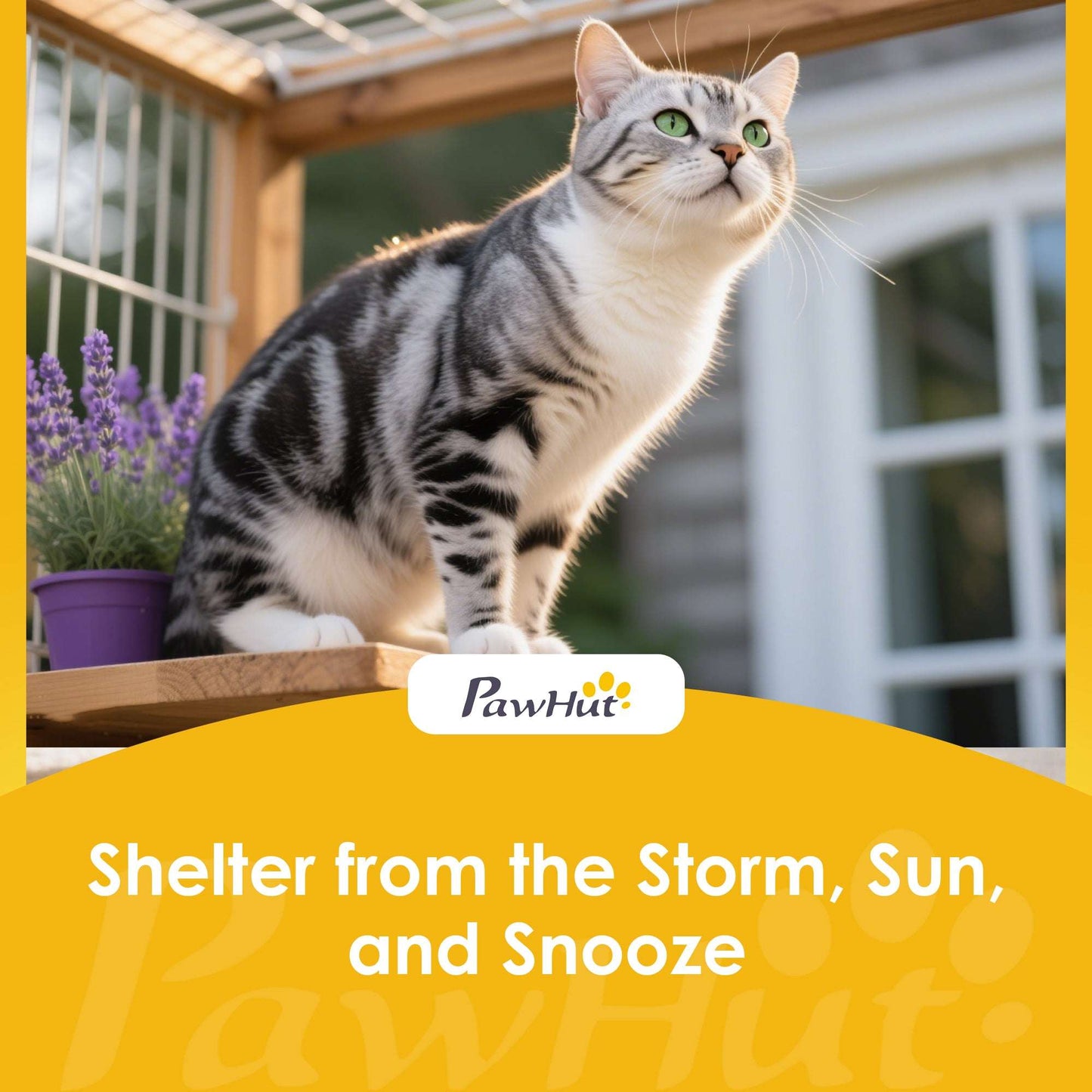Movable Outdoor & Indoor Catio | 3 Jumping Platforms & Resting Box | Waterproof Asphalt Roof | 4 Swivel Casters 2 Lockable | Fir Wood | 4 Doors | Up to 2 Cats | 80x75.5x162.5cm | Dark Grey