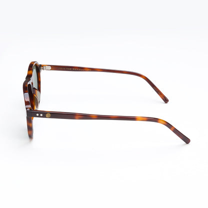 Union Of Surf Barrel Aviator Polarised Sunglasses | Cellulose Acetate Frame | G15 TAC Polarised Lenses | UV400 | Tortoiseshell | Compact Aviator | Unisex | Includes Case & Cloth