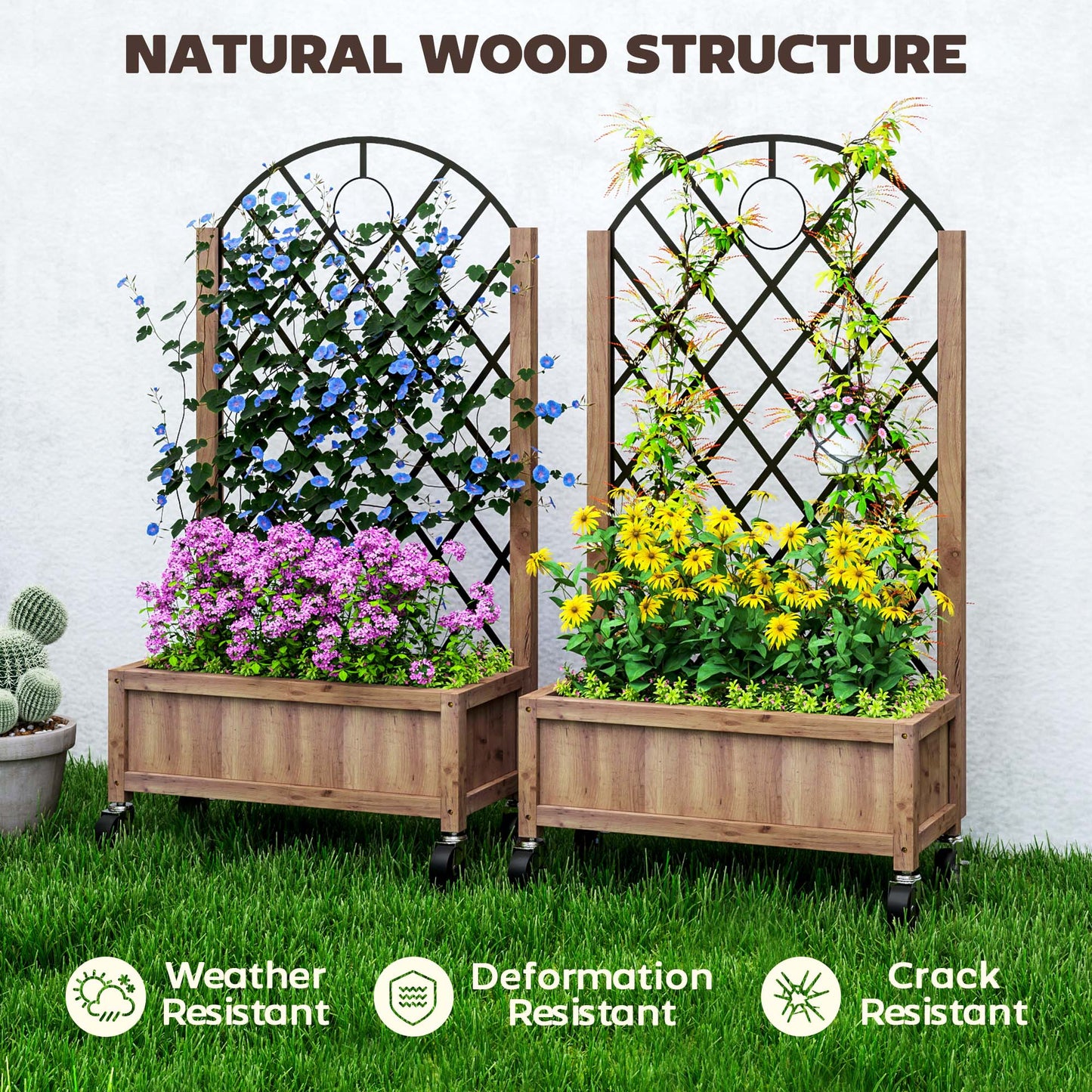 Raised Garden Bed W/ Metal Trellis, Pack of 2 Wooden Elevated Planter & Wheels and Drainage Holes for Climbing Plants, Fruits, Vegetables, Flowers