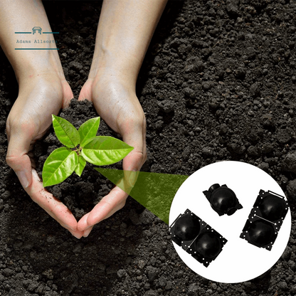 20 Pieces Reusable Plant Root Growing Box Cutting Grafting Rooting Ball Garden Rooting Propagation Ball S Breeding Equipment