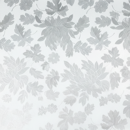Window Film - Studio Shot