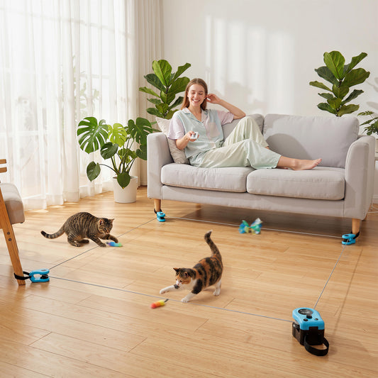 Remote Control Interactive Cat Toy | DIY Track | Adjustable Speed | Mouse Sound | USB-C | Black