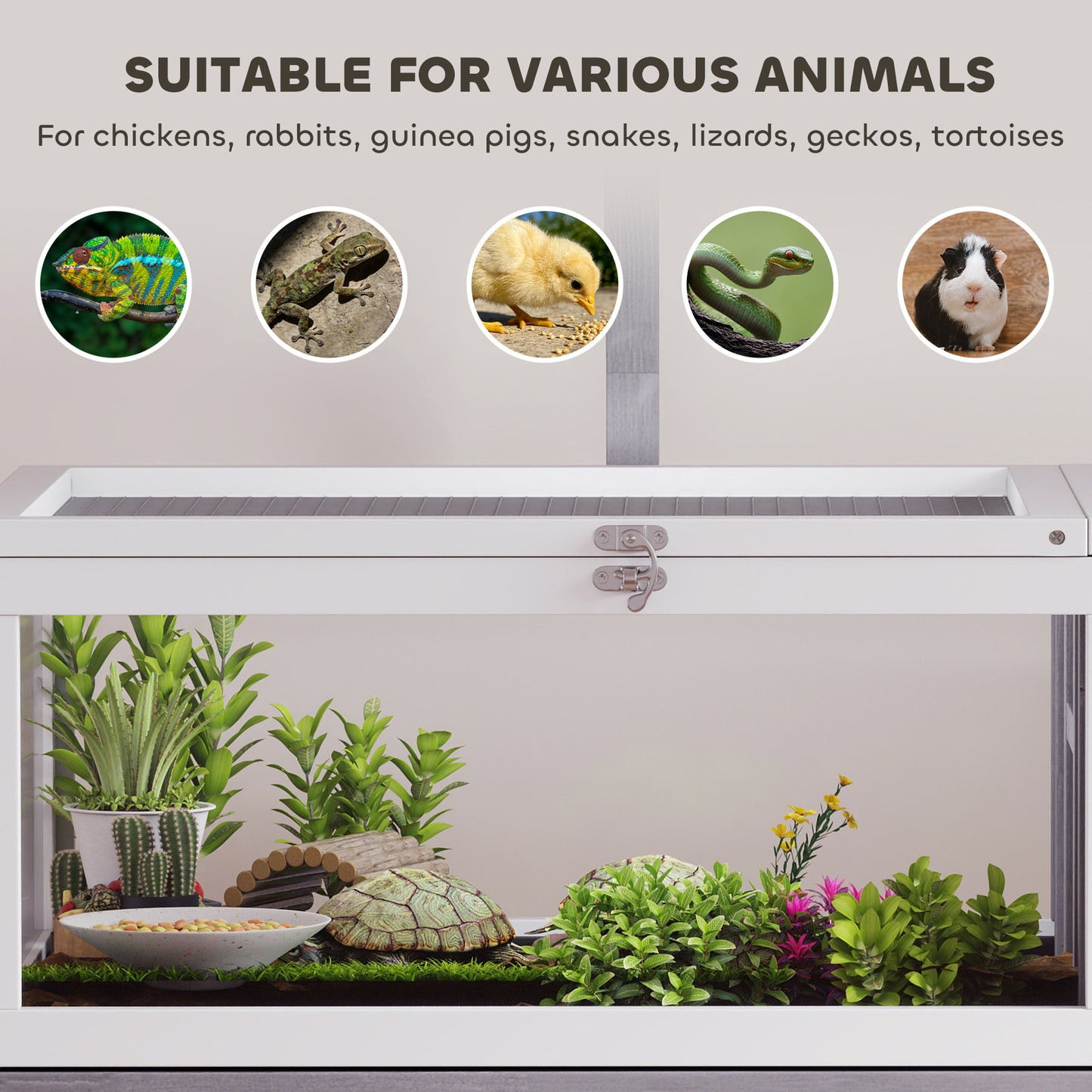 Wooden Tortoise Cage | Dual-Zone Habitat | Clear Panels | Raised Stand | Lamp Holder | 104 x 53 x 82cm | Grey