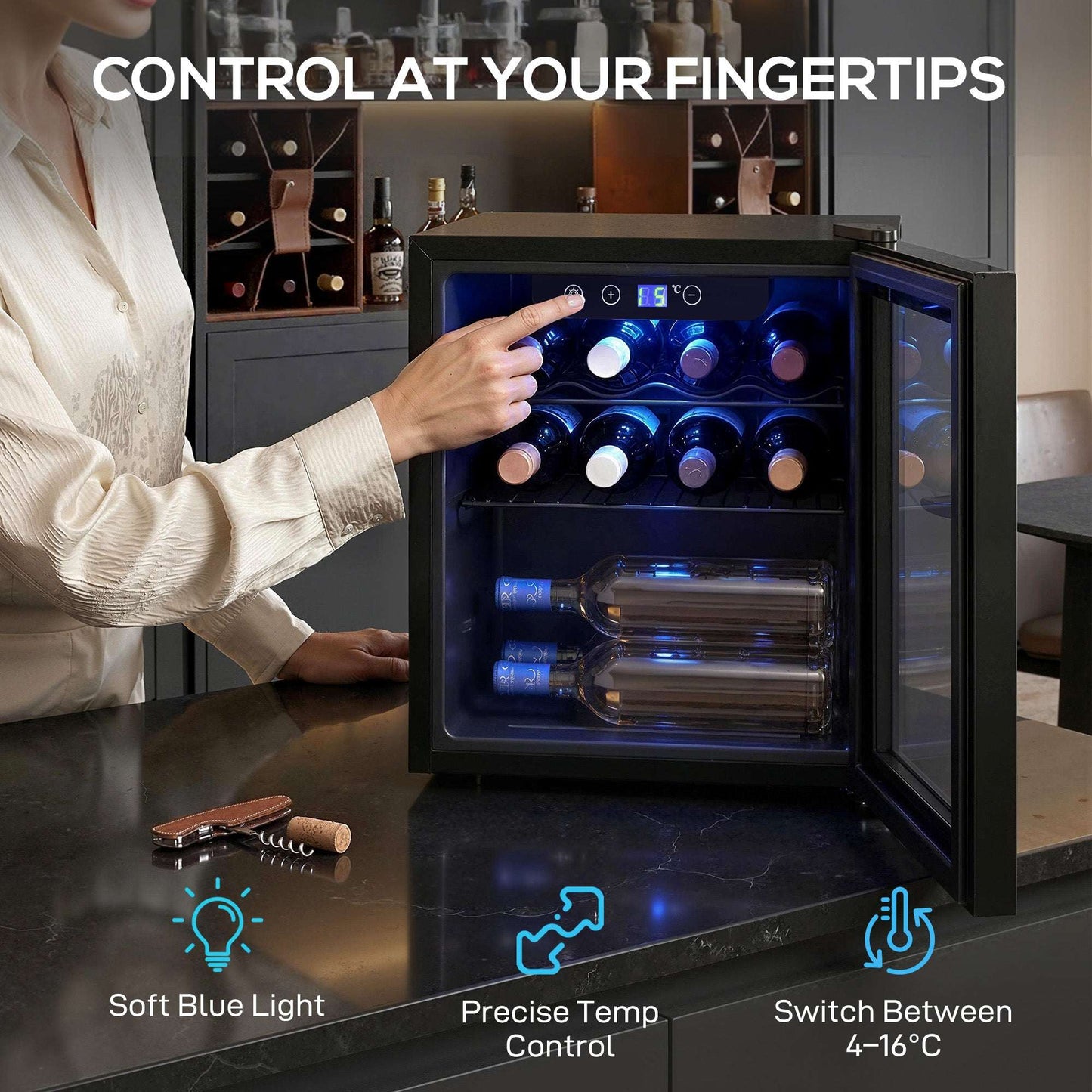 12 Bottle Wine Cooler, 36 Litre Capacity, 4-16°C Under Counter Drinks Beer Wine Fridge with Glass Door, LED Light, Black