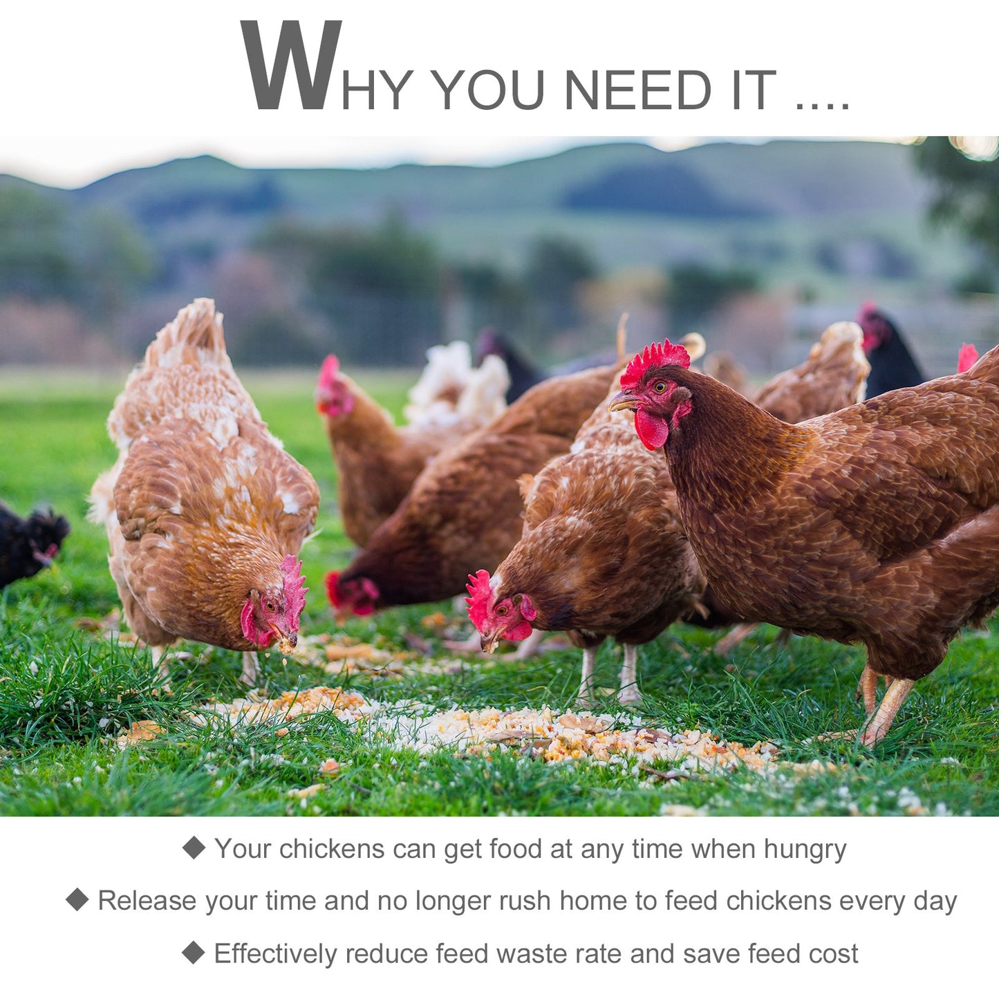 PawHut 11.5kg Capacity Automatic Chicken Poultry Feeder with a Galvanized Steel and Aluminium Build, Weatherproof Design - PawHut